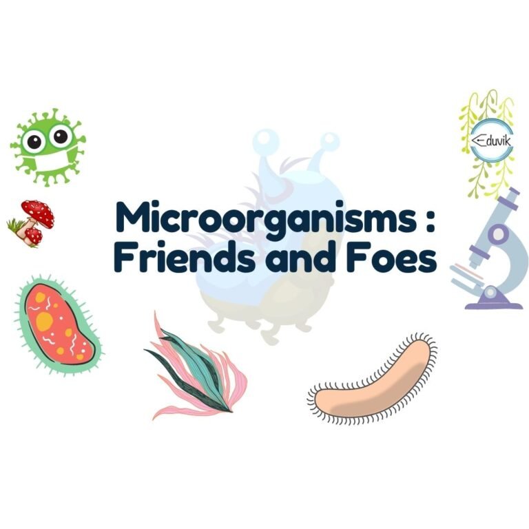 Read more about the article Microorganisms: Friends and Foes