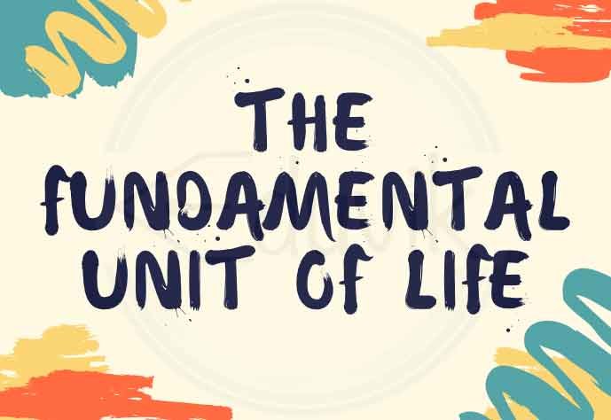 CLASS 9 CHAPTER 5 THE FUNDAMENTAL UNIT OF LIFE